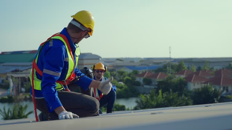 Best Roof Insulation Installation  in South Lyon, MI