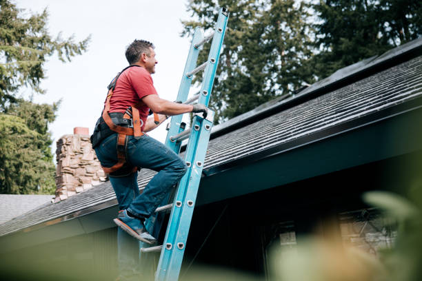 Best Rubber Roofing (EPDM, TPO)  in South Lyon, MI