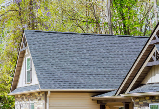 Best Asphalt Shingles Roofing  in South Lyon, MI