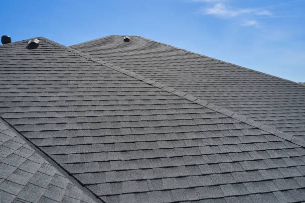 Best Sheet Metal Roofing  in South Lyon, MI