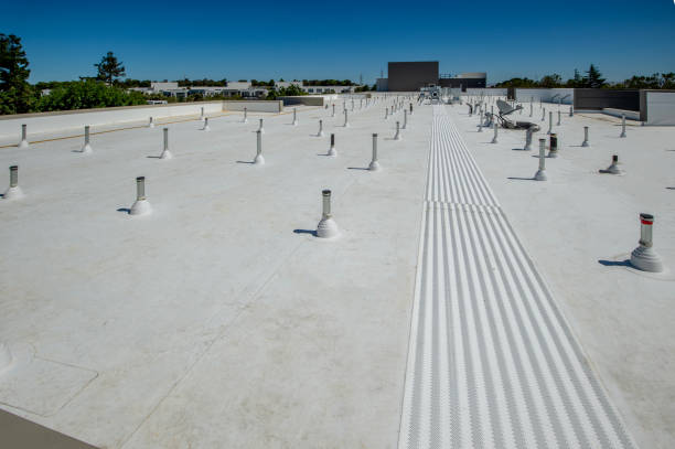 Best Roof Leak Repair  in South Lyon, MI